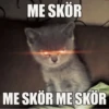 Komi cats 20
