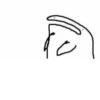 FlorkOfCows 27