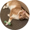 i love Toyota and cats 24