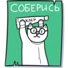 Muesli 28