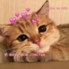 MOOD3 28