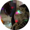 i love Toyota and cats 26