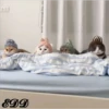 Cats 28