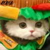Cats 30
