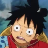 Monkey D Luffy 7