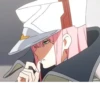 Zero Two🌸 5