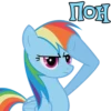 I'm Rainbow Dash 6