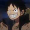 Monkey D Luffy 8