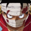 Monkey D Luffy 9