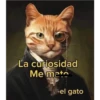 La curiosidad Me mate -el gato