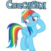 I'm Rainbow Dash 12