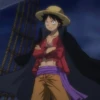 Monkey D Luffy 10
