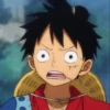 Monkey D Luffy 11