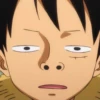 Monkey D Luffy 12