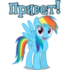 I'm Rainbow Dash 14