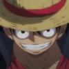 Monkey D Luffy 13