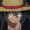 Monkey D Luffy 14