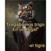 Tragábamos trigo En un trigal -el tigre