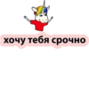 BAD UNICORN 13