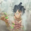 Monkey D Luffy 15