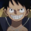 Monkey D Luffy 16