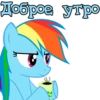 I'm Rainbow Dash 17