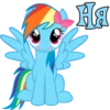 I'm Rainbow Dash 18