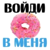 ВОЙДИ В МЕНЯ