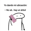 Yo dando mi ubicación: - No sé.. hay un árbol