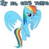 I'm Rainbow Dash 24