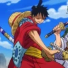 Monkey D Luffy 19