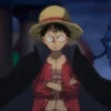 Monkey D Luffy 20