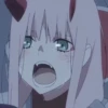 Zero Two🌸 17