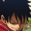 Monkey D Luffy 22