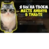 Komaru Rofls 16