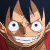Monkey D Luffy 23