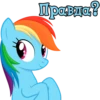 I'm Rainbow Dash 27