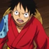 Monkey D Luffy 25