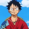 Monkey D Luffy 27