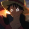 Monkey D Luffy 28