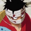 Monkey D Luffy 29