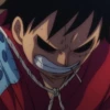 Monkey D Luffy 30