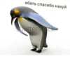 Cvcv 28