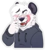 Matty Panda 5