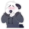 Matty Panda 6