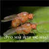 Young Masha memes 7