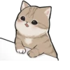 котики by 7