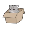 котики by 8