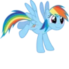 MLP - Rainbow Dash 6