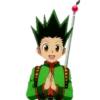 Hunter x hunter 12